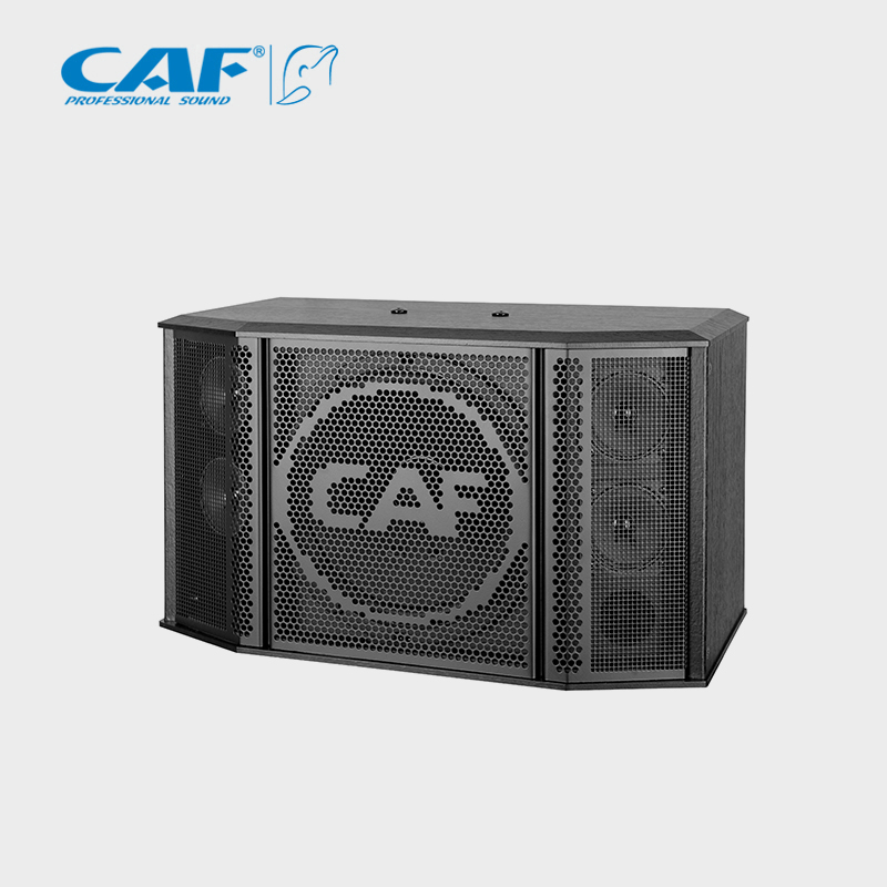 CAF卡福會議音箱專業KTV音響10寸卡包音箱家庭KTV音響